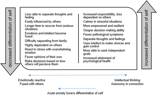 Figure 2 Differentiation of self: main attributes of low and high differentiated functioning.