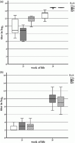 Figure 3.  Box plot presentation of serology results from broiler breeder Flocks A, B and C by (3a) ELISA and (3b) VNT. 3a: ELISA titres ≤10 log2 are considered negative. 3b: VNT titres≤3 log2 are considered negative. Serum samples from Flock A at week 29 of life were not available for VNT.