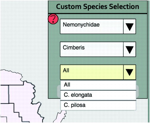 Figure 3. The custom species selection panel, allowing filtering by family, genus, and species. Parameters of the dropdown menus update according to prior selections. In this case, the family Nemonychidae and genus Cimberis have been selected.