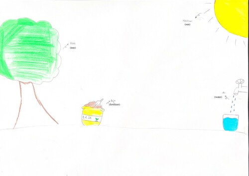 Figure 4. An example of a 12-year-old pupil’s drawing [S6/4] with a level 2 conceptual understanding of photosynthesis.