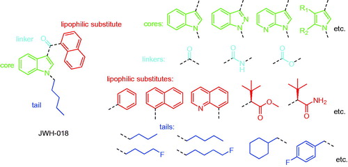 Figure 1. General structural information of synthetic cannabinoids with JWH-018 as an example, where the dotted lines are connected bonds. It was adopted from European Monitoring Center for Drugs and Drug Addiction (EMCDDA) and modified.[Citation14,Citation15]