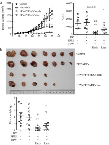 Figure 1. Tumor growth and tumor weight after HPV + PFPS + DCs early and late treatment.After injection of TC-1 cells, tumor mice were immunized twice on days 5 and 12 in HPV + PFPS + DCs early and PFPS + DCs groups, or on days 12 and 19 in HPV + PFPS + DCs late group. (A) Tumor volumes (mean± SEM) were measured shown in the left panel. The area under curve (AUC) was calculated using Prism 5 and shown in right panel (mean± SEM). P value (Mann-Whitney test) is given. (B) Tumors were isolated and weighted at the end of this experiment. The tumor photo and weight (mean± SEM) are shown in upper and lower panels, respectively. *P < 0.05 and **P < 0.01 (ANOVA) compared to control group. #P < 0.05 and ##P < 0.01 (ANOVA) compared to PFPS + DCs group.
