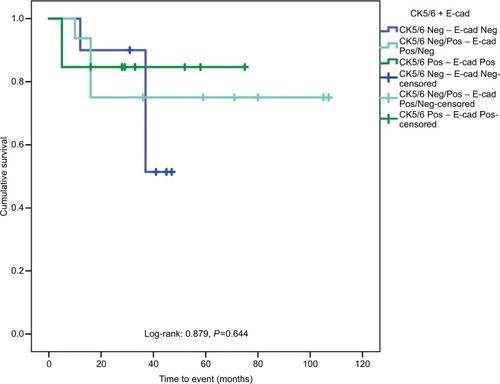 Figure 4 Kaplan–Meier curves in subgroups according to the CK5/6–E-cad score in TNBC patients.