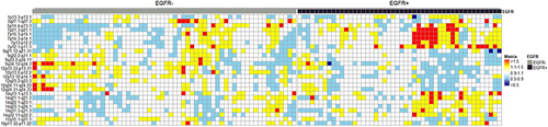 Figure 3 Heat-map view of chromosomal changes in EGFR mut and EGFR wild-type patients. Significant copy-gain segments with Z-score larger than 1.5 are marked in red color, Z-score between 1.1–1.5 in yellow, 0.9–1.1 in white, Significant copy-loss with Z-score between 0.5–0.9 in light blue, less than 0.5 in dark blue.