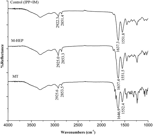 Figure 4. ATR-FTIR spectra of rat skin SC after treated by different formulations.