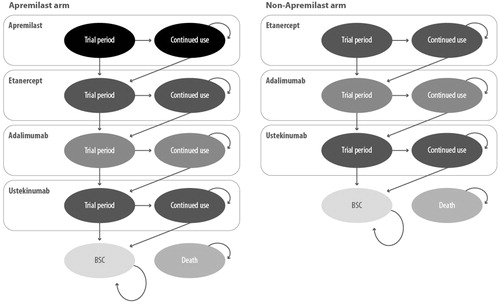 Figure 1. Model structure.