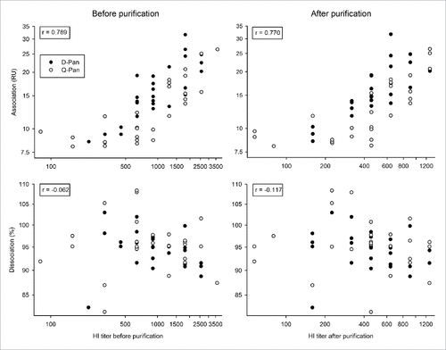 Figure 2. Relationship between HI titers and avidity parameters before and after sample purification. Serum samples were obtained 3 weeks after vaccination from children who received either the D-Pan or Q-Pan vaccine. Samples were purified to reduce the fractions of IgM and non-specific protein. End association and dissociation rates were assessed on the serum samples before purification, as well as on the purified IgG fraction (left-hand and right-hand panels, respectively). Symbols represent the averages of 2 analysis runs per sample. The r correlation (indicated in the left-hand corner of each graph) was determined irrespective of the vaccine group. RU, resonance units. HI titer, hemagglutination inhibition titer.