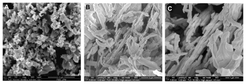 Figure 7 Field emission scanning electron microscopic images of (A) ZnO with 50,000× magnification, (B) HAN with 25,000× magnification and (C) HAN at higher magnification 50,000×.Abbreviations: ZnO, zinc oxide; HAN, hippuric acid nanohybrid.