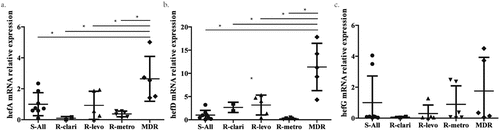 Figure 1. mRNA level of efflux pump gene in different clinical strains. a. The mRNA level of efflux pump gene hefA in susceptible strain (S-All), clarithromycin resistant strain (R-clari), levofloxacin resistant strain (R-levo), metronidazole resistant strain (R-metro) and multiple resistant strain (MDR). b. The mRNA level of efflux pump gene hefD in susceptible strain, clarithromycin resistant strain, levofloxacin resistant strain, metronidazole strain and multiple resistant strain. c. The mRNA level of efflux pump gene hefG in susceptible strain, clarithromycin resistant strain, levofloxacin resistant strain, metronidazole strain and multiple resistant strain. *: p < 0.05.