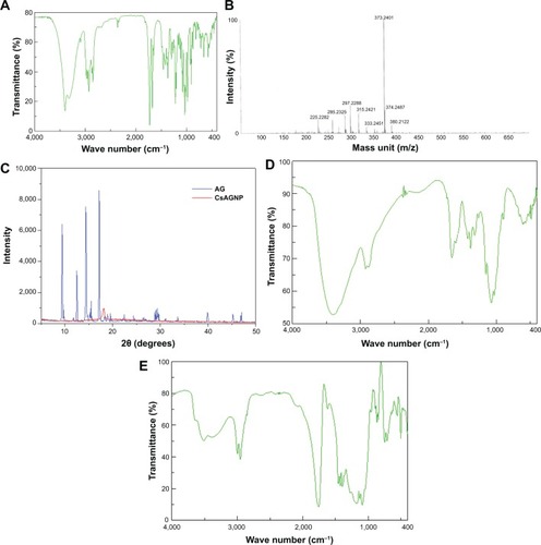 Figure 1 (A) FTIR scan of AG; (B) electrospray ionization mass spectra of AG; (C) X-ray diffraction spectra of AG and CsAGNP nanosystems; (D) FTIR scan of biopolymer Cs; (E) FTIR scan of CsAGNP nanosystem.Abbreviations: Cs, chitosan; FTIR, Fourier-transform infrared; AG, andrographolide; CsAGNP, chitosan-modified AG nanoparticle.