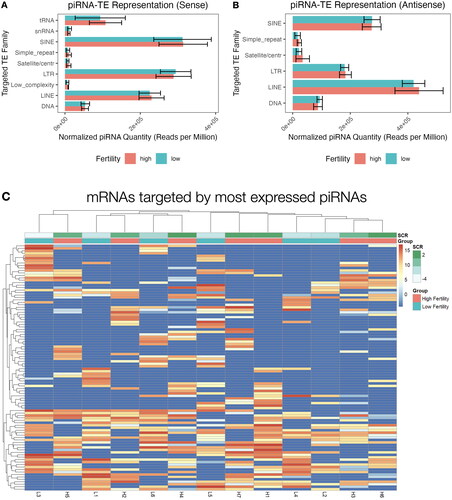 Figure 4. Mapped transposable element targets of expressed piRNAs. Reads mapped to repetitive elements (tRNA: transfer RNA; snRNA: small nuclear RNA; SINE: short interspersed nuclear element; LTR: long terminal repeat; LINE: long intersperced nuclear element) in sense (A) and antisense (B) orientation, read counts are ± SD. (C) Hierarchical clustering the top 100 most targeted repetitive elements by expression of mapped piRNAs in each sample.