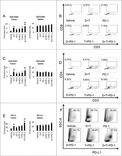 Figure 2. Increased tumor infiltrating effector and helper T-cells with dabrafenib and trametinib in combination with anti-PD-1 in SM1 tumors. (A) Quantification of tumor infiltrating effector cells (TILs). TILs and splenocytes harvested at day 5 after starting treatment were counted and analyzed by flow cytometry for CD3/CD8+ staining (six mice in each group). (B) Representative flow data of percentage of CD3+CD8+ TILs in tumors is shown. (C) Quantification of tumor infiltrating helper T-cells. TILs and splenocytes harvested at day 5 after starting treatment were counted and analyzed by flow cytometry for CD3/CD4+ staining (six mice in each group). (D) Representative flow data of percentage of CD3+CD4+ TILs in tumors is shown. (E) Quantification of PD-L1 expression. TILs and splenocytes harvested at day 5 after starting treatment were counted and analyzed by flow cytometry for SSC/PD-L1 staining (six mice in each group). (F) Representative flow data of percentage for SSC/PD-L1 in tumors is shown.