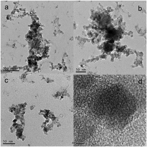 Figure 4. TEM images of sample Zn01G synthesized at TR=520 °C, QR=800 cm3/min and QDil=1800 cm3/min.