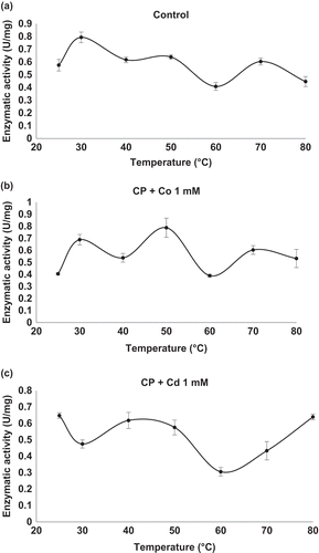 Figure 5. Effect of temperature on enzymatic activity of carboxypeptidase (CP). (a) Control: CP activity without cations in the enzyme extract. (b) CP activity in the enzyme extract in the presence of CoCl2 at a concentration of 1 mM. (c) CP activity in the enzyme extract in the presence of CdCl2 at a concentration of 1.0 mM. Mean values are connected by a line, bars represent standard deviations (n = 3).Figura 5. Efecto de la temperatura sobre la actividad enzimática de carboxipeptidasa (CP) en el extracto enzimático. (a) Control: Actividad de CP en ausencia de cationes; (b) actividad de CP en presencia de CoCl2 a 1 mM and (c) actividad CP en presencia de CdCl2 a 1.0 mM. Los valores de las medias están unidos por una línea, las barras representan la desviación standard (n = 3).