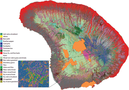 Figure 5. Mixed hierarchical land cover map for the island of Lāna‘i, based on land cover classification including expert-adjusted class posterior probabilities. Masked areas under the triangular polygons were infrastructure areas excluded from the analysis (Lāna‘i City, airport and other infrastructure). Map inset shows a high-elevation area with a mixture of species- and community-specific classes.