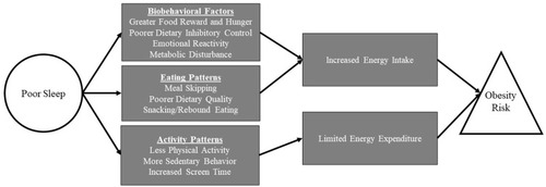 Figure 1 Potential mechanisms driving the relationship between poor sleep and increased obesity risk in adolescence.