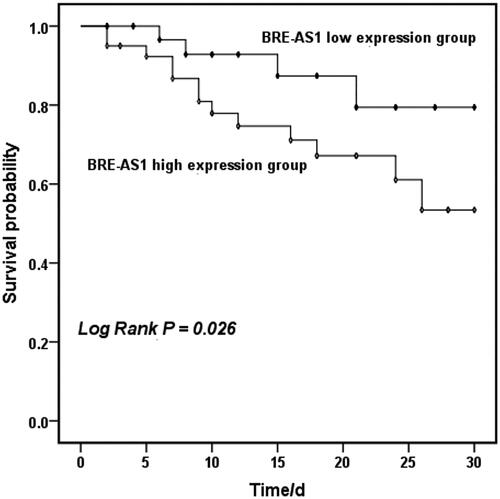 Figure 2. Kaplan–Meier’s curves of survival probability of patients with AMI stratified by the serum BRE-AS1 expression levels. BRE-AS1: brain and reproductive organ-expressed protein (BRE) antisense RNA 1; AMI: acute myocardial infarction.