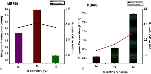 Figure 2. Effect of (a) temperature and (b) incubation period on laccase production from G. stearothermophilus MB600 and bacterial growth. Graphs are prepared using the mean value of the triplicate readings, whereas the narrow bars are showing the standard error values.