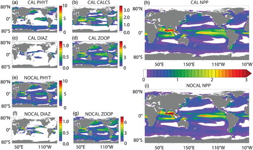 Fig. 4 Depth-integrated annual average PFT biomass (g C m−2): (a) CAL general phytoplankton; (b) CAL phytoplankton calcifiers; (c) CAL diazotrophs; (d) CAL zooplankton; (e) NOCAL general phytoplankton; (f) NOCAL diazotrophs; (g) NOCAL zooplankton. Also shown is depth-integrated NPP (g C m−2 d−1) for (h) CAL and (i) NOCAL.