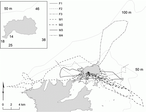 Figure 2  Satellite tracks of seven male and female yearling New Zealand sea lions (Phocarctos hookeri). The 50 and 100 m bathymetry contour lines are indicated in light grey. The inset map indicates the different depths around Enderby Island; depth data (Land Information New Zealand 2012).