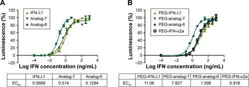 Figure 4 Activation of the ISRE-luciferase reporter.