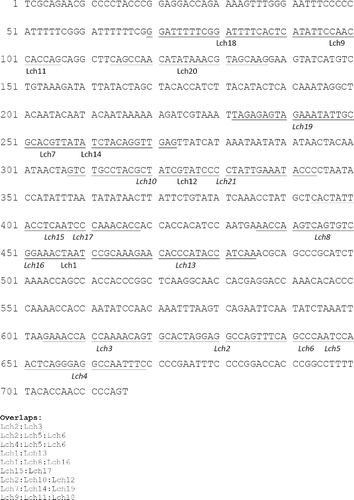 Figure 1. The original full-length sequence of the Leishmania infantum (GenBank accession n.AF308682.1). The locations of our proposed primer sequences are indicated by underlines. Antisense primers are designated by italic format, while nonitalic form indicates sense primers.