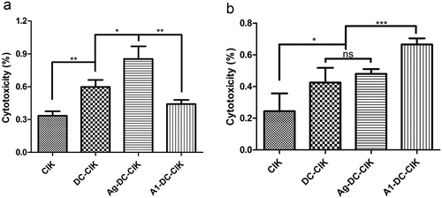 Figure 4. A1 peptide-treated-DC-CIK cells exhibited specific cytotoxicity on A549 cells coated with A1 peptides in vitro.CIK, DC-CIK, Ag-DC-CIK or A1-DC-CIK effector cells were cultured for 14 days. The resulting effector cell populations were used to examine cytotoxicity on MDA-MB-231 and A549 cells. The target cells were incubated with A1 polypeptide (50 μg/mL) for an hour before mixed with the effector cells. The cytotoxicity of the effector cells against target cells was examined with CCK8 kit. (a). MDA-MB-231 cells were incubated with effector cells for 24 hour at effector-to-target (E: T) ratios of 20:1. (b). A549 cells were incubated for 24 hour with effector cells at E: T ratios of 20:1. Data were given as mean ± SEM from three independent experiments. *P < 0.05, **P < 0.01, ***P < 0.001.