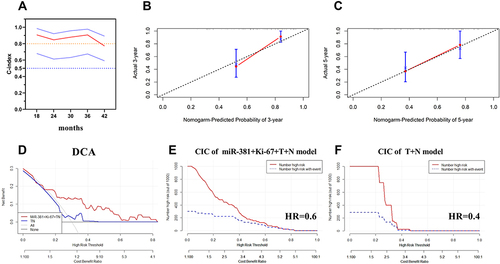 Figure 7 The calculation of the models’ consistency using the concordance (C)-index. (A) The concordance (C)-index of the miR-381+Ki-67+T+N model was 0.719, with a 95% CI of (0.580, 0.857); (B and C) The predicted and actual probabilities of disease progression events at three and five years showed the model had good consistency; (D) The DCA curve indicated that the clinical benefit of the miR-381+Ki-67+TN model was superior to the TN model, with a disease progression rate of 30%; (E) CIC of the miR-381+Ki-67+TN model, it demonstrated good performance over the entire range of threshold probabilities; (F) CIC of the TN model, the red curve has a steep downward trend, when HR is about 0.4, the two curves coincide.