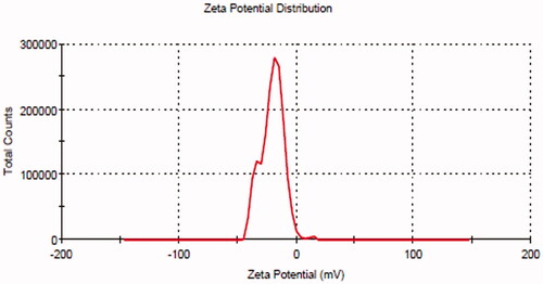 Figure 5. Zeta potential value of the optimized butenafine nanoparticle (BT-NPop).
