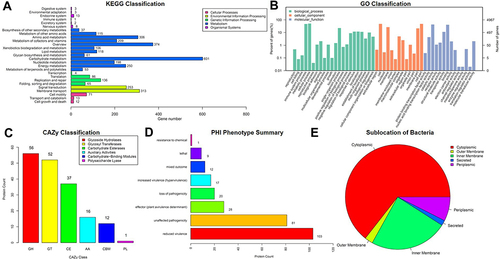 Figure 2 Sequencing results of the whole genome map of drug-resistant bacteria.