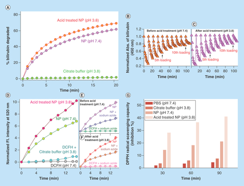 Figure 3.  Physico-chemical characteristics of C-Mn3O4 nanoparticles.(A) Change in percentage of bilirubin degradation by nanoparticles due to acid treatment. (B & C) Recyclability of the catalyst before and after acid treatment, respectively. (D) Comparative representation of reactive oxygen species generation capability of nanoparticles due to acid treatment. (E & F) Change in reactive oxygen species generation ability due to acid treatment in presence of sodium azide. (G) Percentage antioxidant activity as measured by DPPH• assay.