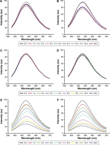 Figure 5 Nile Red release profiles of NCM and CCM at different pH values and reducing environments within 24 hours.Notes: The release from NCM at neutral pH (A) and acidic pH (B), the release from CCM at neutral pH (C) and acidic pH (D), and the release from CCM at neutral pH (E) and acidic pH (5.0) (F) under 10 mM GSH.Abbreviations: NCM, noncross-linked micelle; CCM, cross-linked micelle; GSH, glutathione; h, hours.