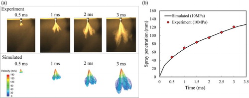 Figure 8. Spray experiment measurements and simulations (injection pressure = 10 MPa) for: (a) comparison of spray formal and (b) comparison of spray penetration.