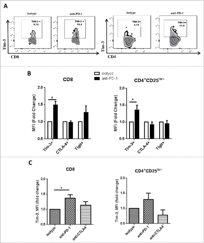 Figure 2. Tim-3 is upregulated after PD-1 blockade in vitro in human TIL. Freshly isolated tumor-infiltrating lymphocytes from HNSCC patient were treated with anti-PD-1 mAb—Nivolumab, or anti-CTLA-4 mAb—Ipilumumab, and IgG4/IgG1 as isotype control. All the treatments were given at the concentration of 10 µg/mL in vitro for 24 h. Tim-3, CTLA-4, TIGIT expressions were assessed by flow cytometry. (A) Representative flow plots showing Tim-3 expression in CD8+ and CD4+CD25lo/− cells. (B) Summary data showing MFI fold change of Tim-3, CTLA-4 and TIGIT. MFI of isotype control group is normalized to 1. (n = 6) Significance was calculated with multiple t test, *p < 0.05. (C) Summary data showing Tim-3 MFI fold change in isotype, anti-PD-1(nivolumab) or anti-CTLA-4 (ipilumumab) treatment. (n = 5) Significance was calculated with RM-one-way ANOVA, *p < 0.05. All data represent average ± SEM.