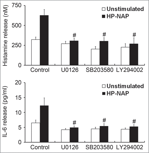 Figure 11. Inhibition of HP-NAP-induced release of histamine and IL-6 from HMC-1 cells by the treatment with U0126, SB203580, and LY294002. Serum-starved HMC-1 cells were not pretreated (control) or pretreated with 5 μM U0126, a MEK1/2 inhibitor; 10 μM SB203580, a p38-MAPK inhibitor; or 10 μM LY294002, a PI3K inhibitor at 37°C for 1 h and then left unstimulated or stimulated with 1 μM HP-NAP at 37°C for 30 min or 16 h for measurement of the release of histamine or IL-6, respectively. Release of histamine and IL-6 from HMC-1 cells was determined as described in Figure 3. Data were represented as the mean ± SD of 3 independent experiments. *P < 0.05 as compared with unstimulated control cells; #P < 0.05 as compared with HP-NAP-stimulated control cells.