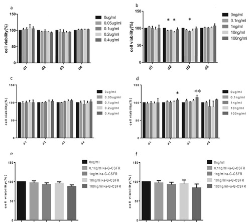 Figure 5. The effects of rhGM-CSF and rhG-CSF on the viability of SUP-B15 and BALL-1 cells. SUP-B15 and BALL-1 cells were treated with the indicated rhGM-CSF or rhG-CSF for 1, 2, 3 or 4 days, after which cell viability was measured by a CCK-8 assay. (a) The effect of rhGM-CSF on the viability of BALL-1 cells. (b) The effect of rhG-CSF on the viability of BALL-1 cells. (c) The effect of rhGM-CSF on the viability of SUP-B15 cells. (d) The effect of rhG-CSF on the viability of SUP-B15 cells. (e) The effect of rhG-CSF in the absence or presence of G-CSFR blocking antibodies on the viability of BALL-1 cells after 72 h treatment. (f) The effect of rhG-CSF in the absence or presence of G-CSFR blocking antibodies on the viability of SUP-B15 cells after 72 h treatment. Error bars represent variations from three independent duplicates. *P < 0.05 and **P < 0.01 represent cell proliferation in the experimental group that was treated with cytokines compared to the control group (absent rhGM-CSF or rhG-CSF).