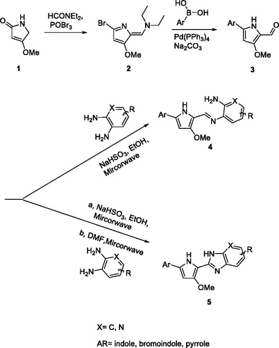 Scheme 1. General synthetic procedure for pyrrole-benzimidazole.