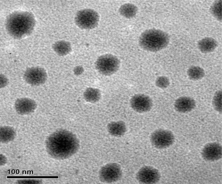 Figure 2 Transmission electron microphotograph of colchicine nanoemulsion.