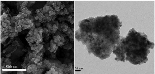 Figure 2. a) FESEM and b) TEM images of Fe3O4/Starch-Au catalyst.