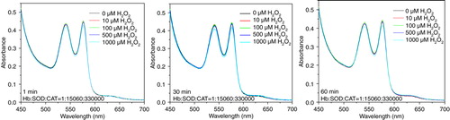 Figure 7.  Absorbance spectra of hemoglobin (10µM) in PolyHb-SOD-CAT following H2O2 addition of 10, 100, 500, and 1000 µM.