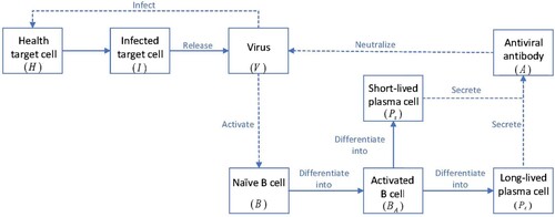 Figure 6. The flow chart for the within-host virus Model (Equation5(5a) H′=λH−τHV−δHH,(5a) ).