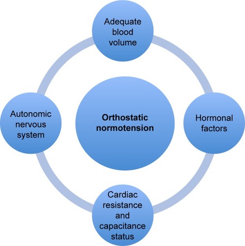 Figure 1 Various mechanisms for maintaining orthostatic normotension.