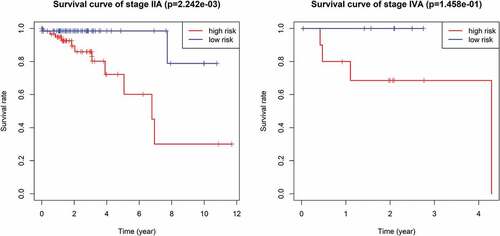 Figure 7. The survival difference of stage IIA and stage IVA between high and low risk groups of CRC patients.