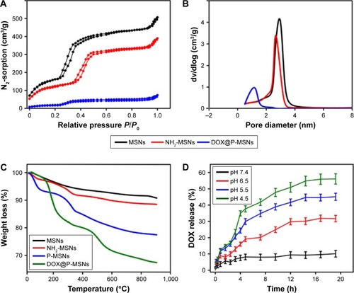 Figure 2 Characterization and in vitro drug release of DOX@P-MSNs.Notes: (A) N2 adsorption/desorption isotherms of MSNs, NH2-MSNs and DOX@P-MSNs. (B) Pore diameter distribution of MSNs, NH2-MSNs and DOX@P-MSNs. (C) TGA curves of MSNs, NH2-MSNs, P-MSNs and DOX@P-MSNs. (D) pH-responsive DOX release from DOX@P-MSNs in PBS with different pH values. Data show mean ± standard deviation (n=3).Abbreviations: DOX@P-MSN, doxorubicin-loaded polyaspartic acid-anchored MCM-41-type mesoporous silica nanoparticle; P-MSN, polyaspartic acid-anchored MCM-41-type MSN; MSN, mesoporous silica nanoparticle; TGA, thermogravimetric analysis; DOX, doxorubicin.