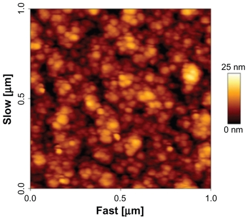 Figure 3 AFM image of a granular Ni film (1 nm nominal thickness) deposited by thermal evaporation onto a SiO2 surface.