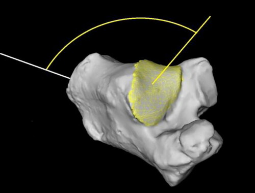 Figure 2. The marked joint facet is divided into small triangular meshes, each mesh has a single normal vector.Meshes are drawn in yellow color for visualization of the triangles network.