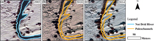 Figure 11. A random selected paleochannel in Kuruk Tagh Desert, eastern margin of Tarim Basin, NW China (39°34′44.34ʺ N, 88°26′23.71ʺ E). This paleochannel has been long-term drying up since 2003. The river bed had been dammed seriously by the aeolian processes after 11 years.