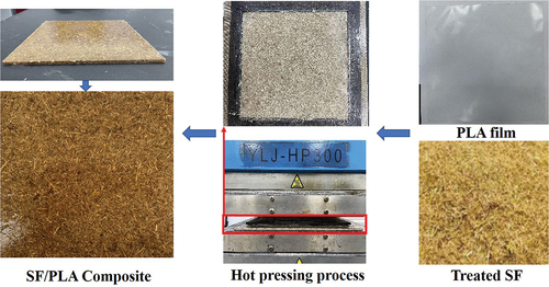 Figure 3. Preparation process of SF/PLA composites.