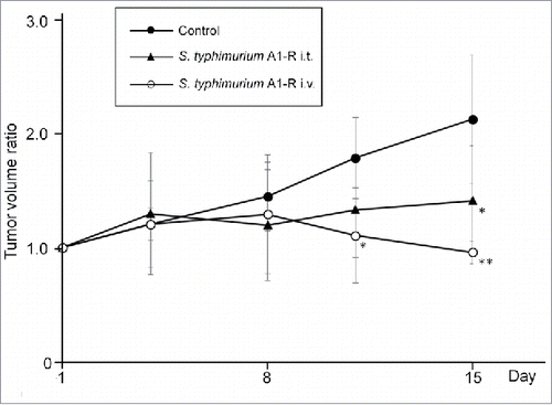 Figure 4. S. typhimurium A1-R administered i.v. or i.t. on the Ewing's sarcoma PDOX Line graph shows tumor volume ratio. S. typhimurium A1-R was administered i.v. or i.t. Please see the Materials and Methods for doses and schedules. *P < 0.05 and **P < 0.01 compared to control. Error bars: ± 1 SD. i.t., intratumoral injection; i.v., intravenous injection.