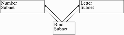 Figure 3. Topology of intra-subnet connections in the compensatory LTP binding simulation: each neuron in the base subnets connect to the bind subnet, and each neuron in the bind subnet connects to the base subnets.